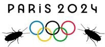 Welcome to Paris 2024 Olympic Games 